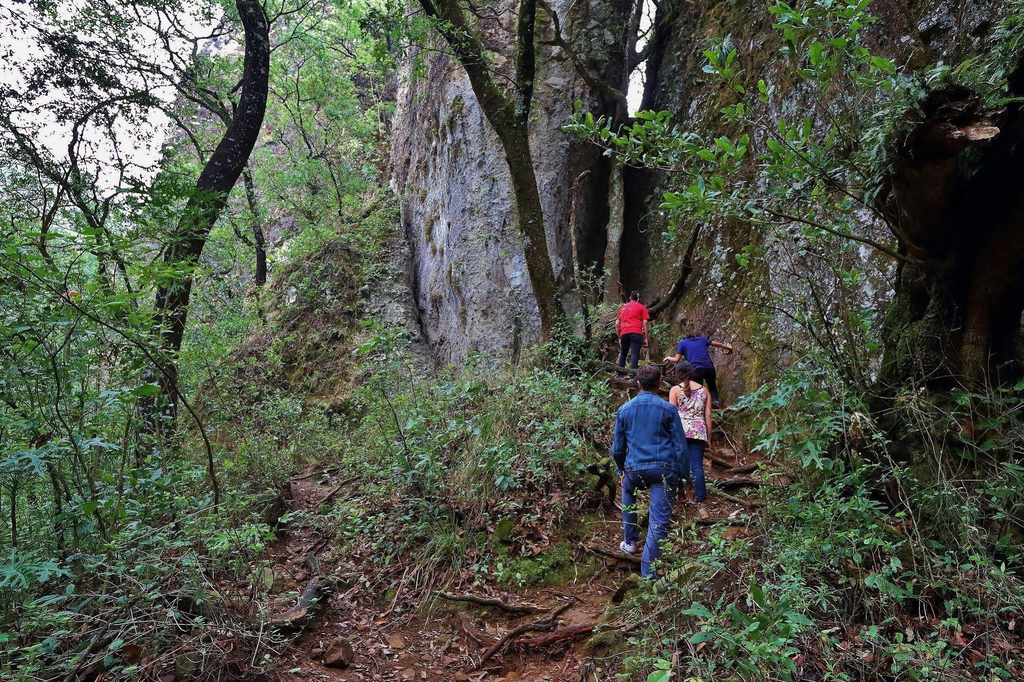Amomoxtli Ξενοδοχείο Tepoztlan Εξωτερικό φωτογραφία
