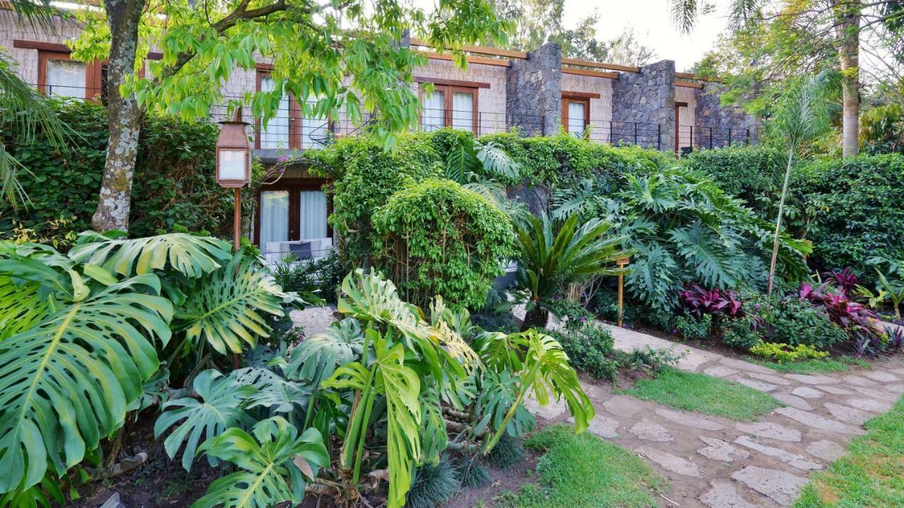 Amomoxtli Ξενοδοχείο Tepoztlan Εξωτερικό φωτογραφία